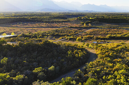 Terreno Campestre en Montemorelos, N.L.