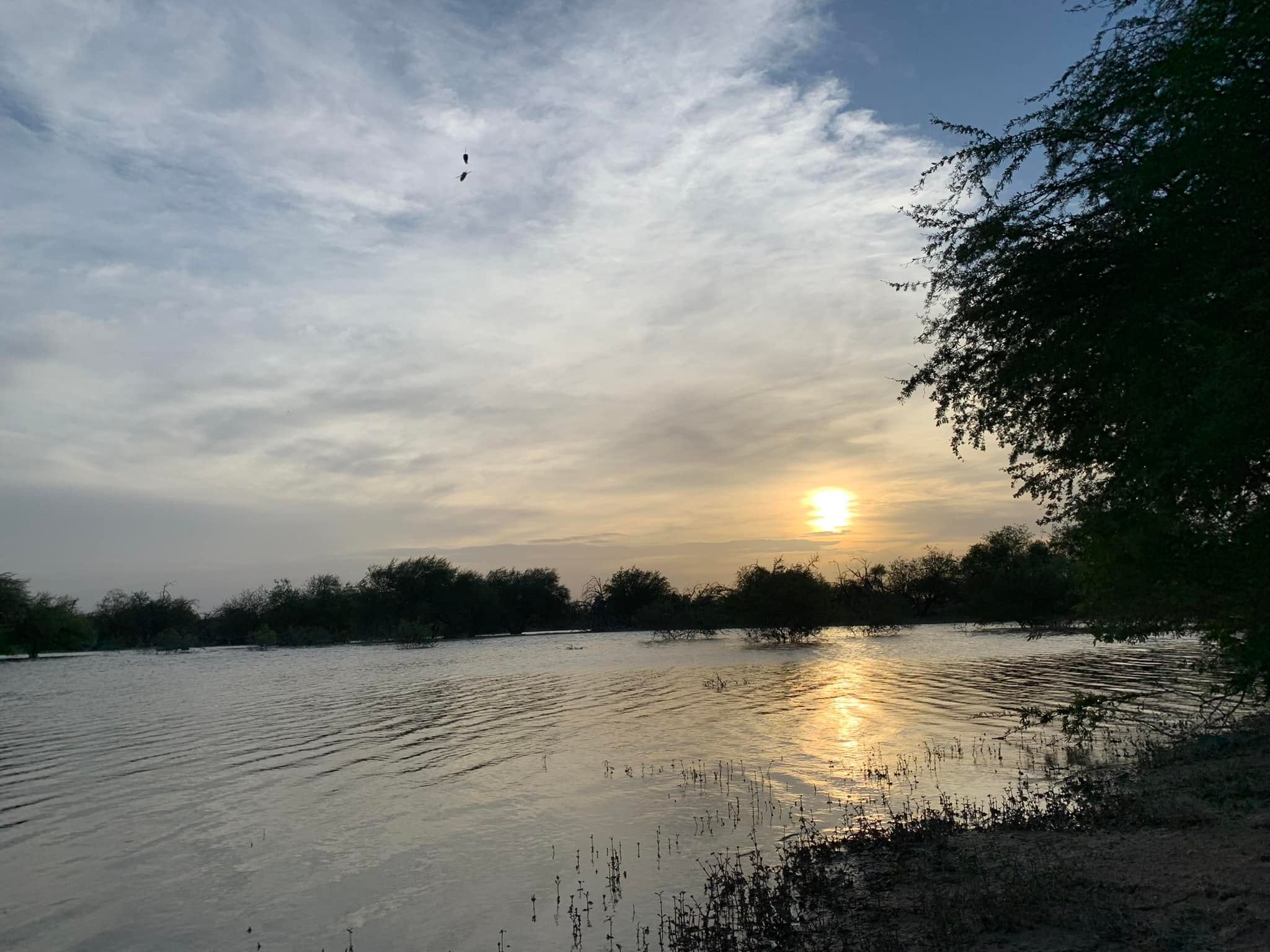 Excelente Oportunidad, Rancho de Cacería en Venta en Sabinas, Coahuila