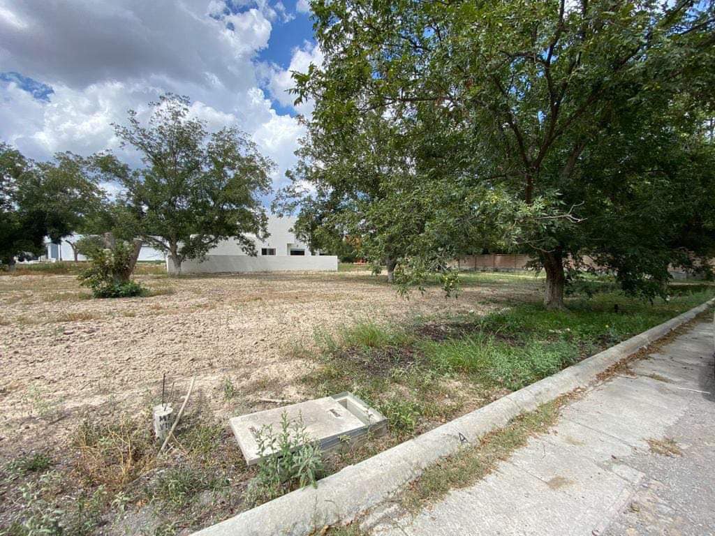 Terreno Residencial,  San Alberto, Saltillo, Coahuila