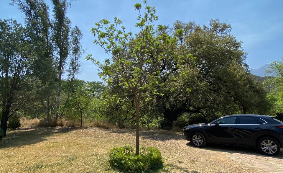 Terreno en Venta Bosquencinos Sur